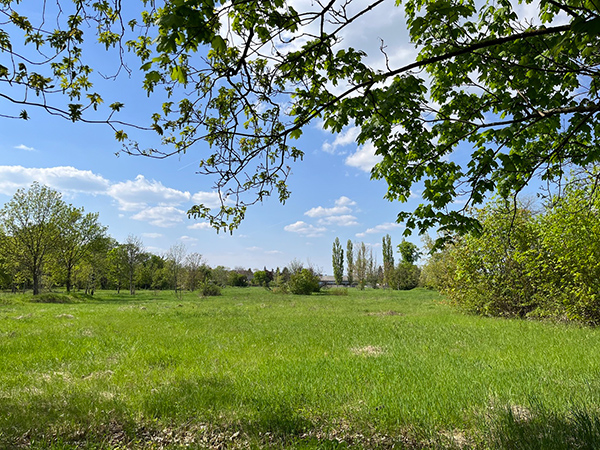 A 9-hectare open field is up for grabs. A third of renovation costs could be gained from selling this land, according to Tibor Polgár