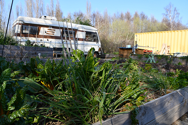 La Maison de l'alimentation durable abrite une caravane, un potager ou encore un composteur. Et ici, les adventices ne sont pas considérées comme de mauvaises herbes