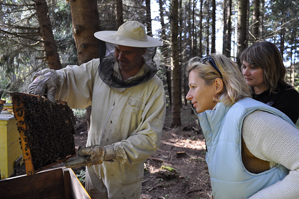 Démonstration d'apiculture pour les touristes